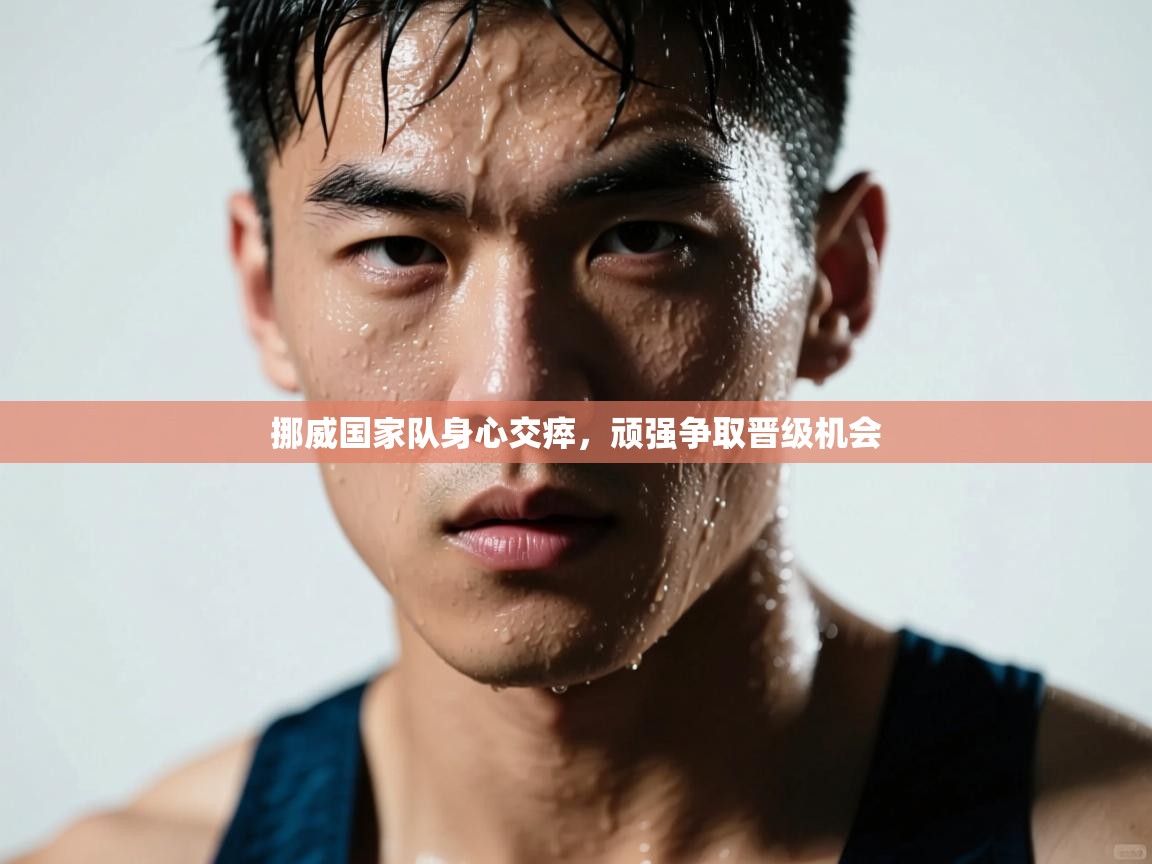 挪威国家队身心交瘁，顽强争取晋级机会  第1张