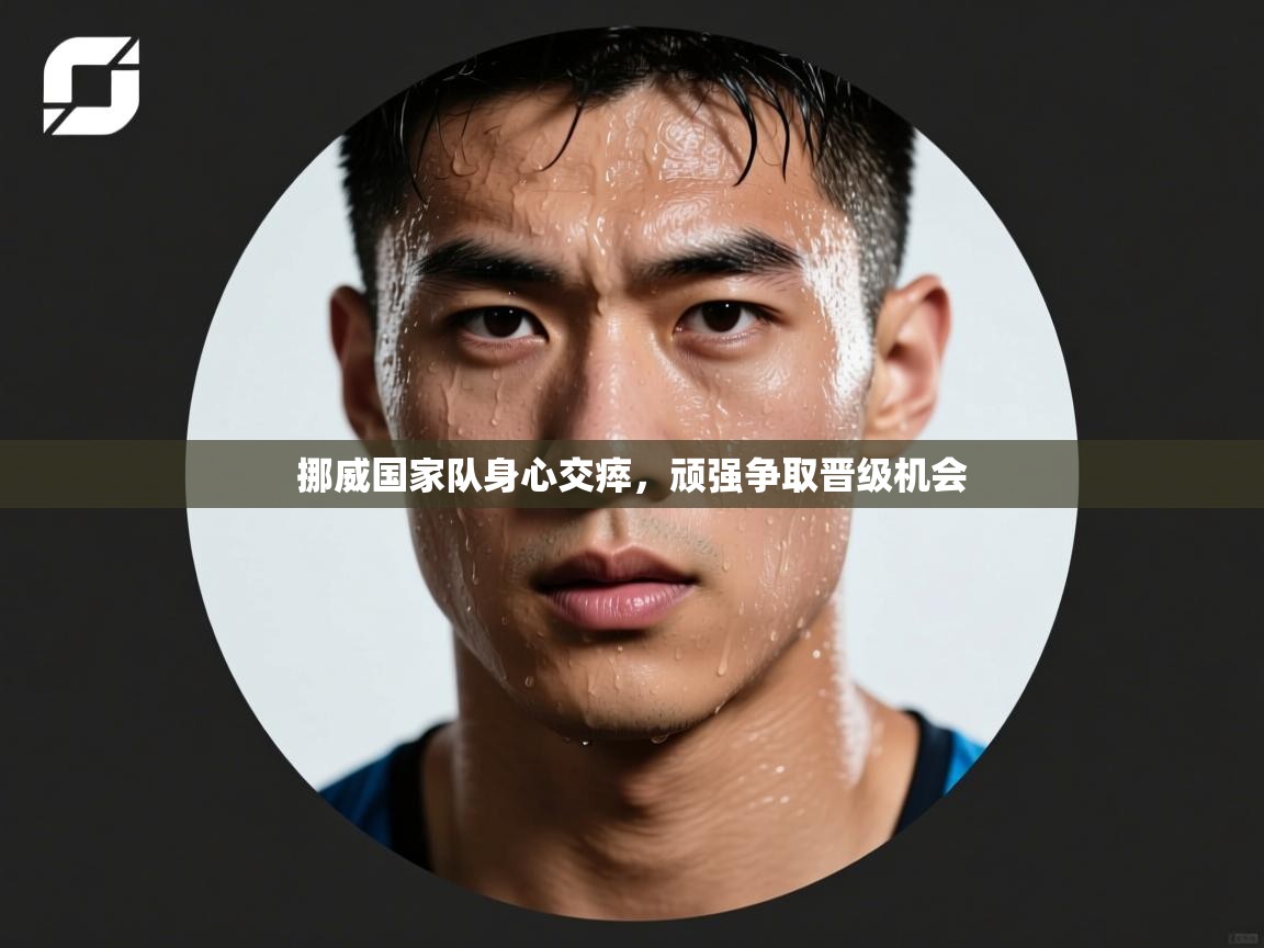 挪威国家队身心交瘁，顽强争取晋级机会  第2张