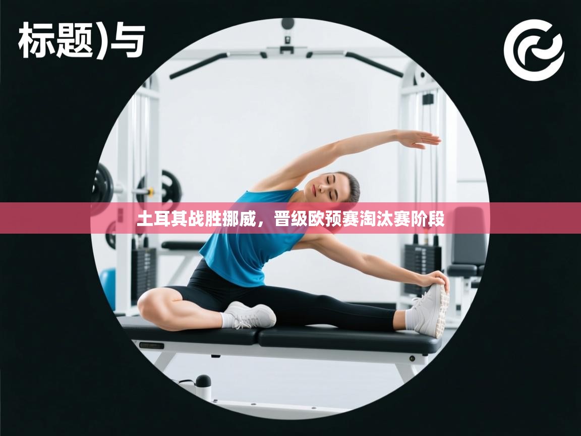 土耳其战胜挪威，晋级欧预赛淘汰赛阶段  第2张