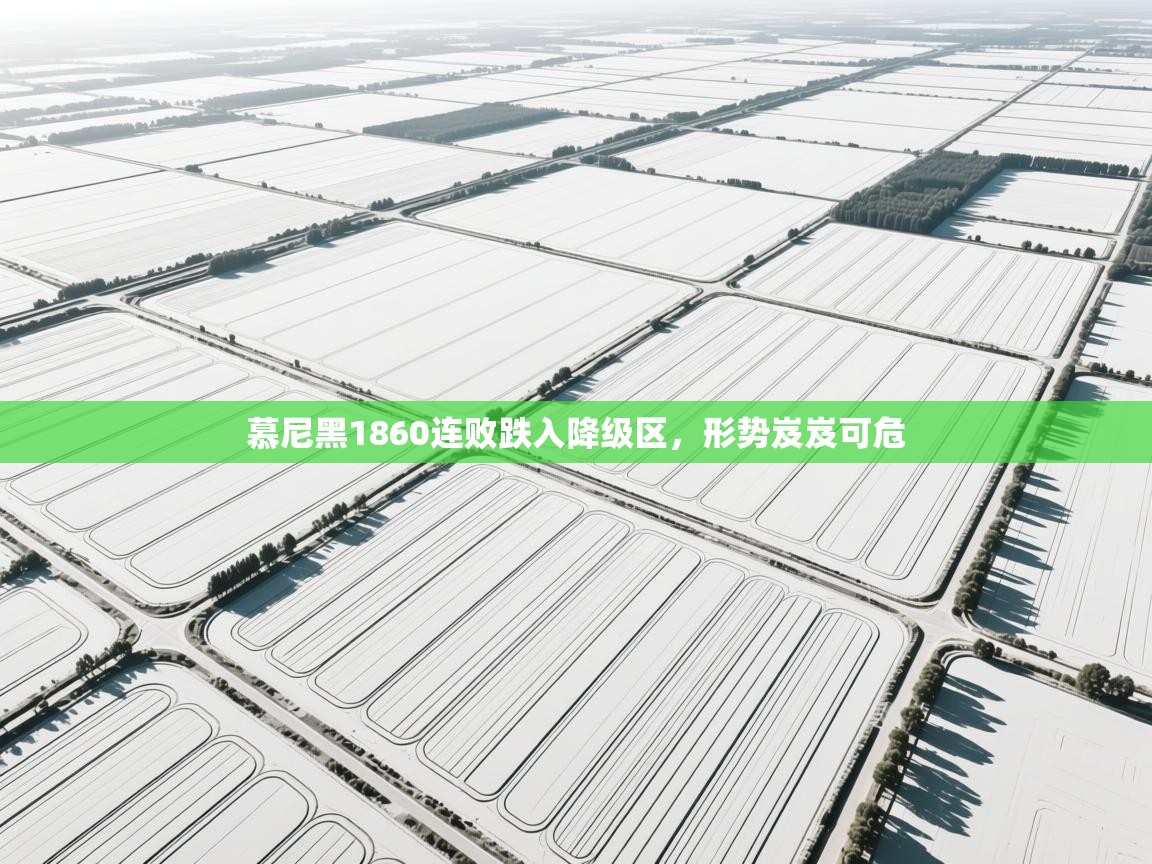 慕尼黑1860连败跌入降级区，形势岌岌可危  第1张