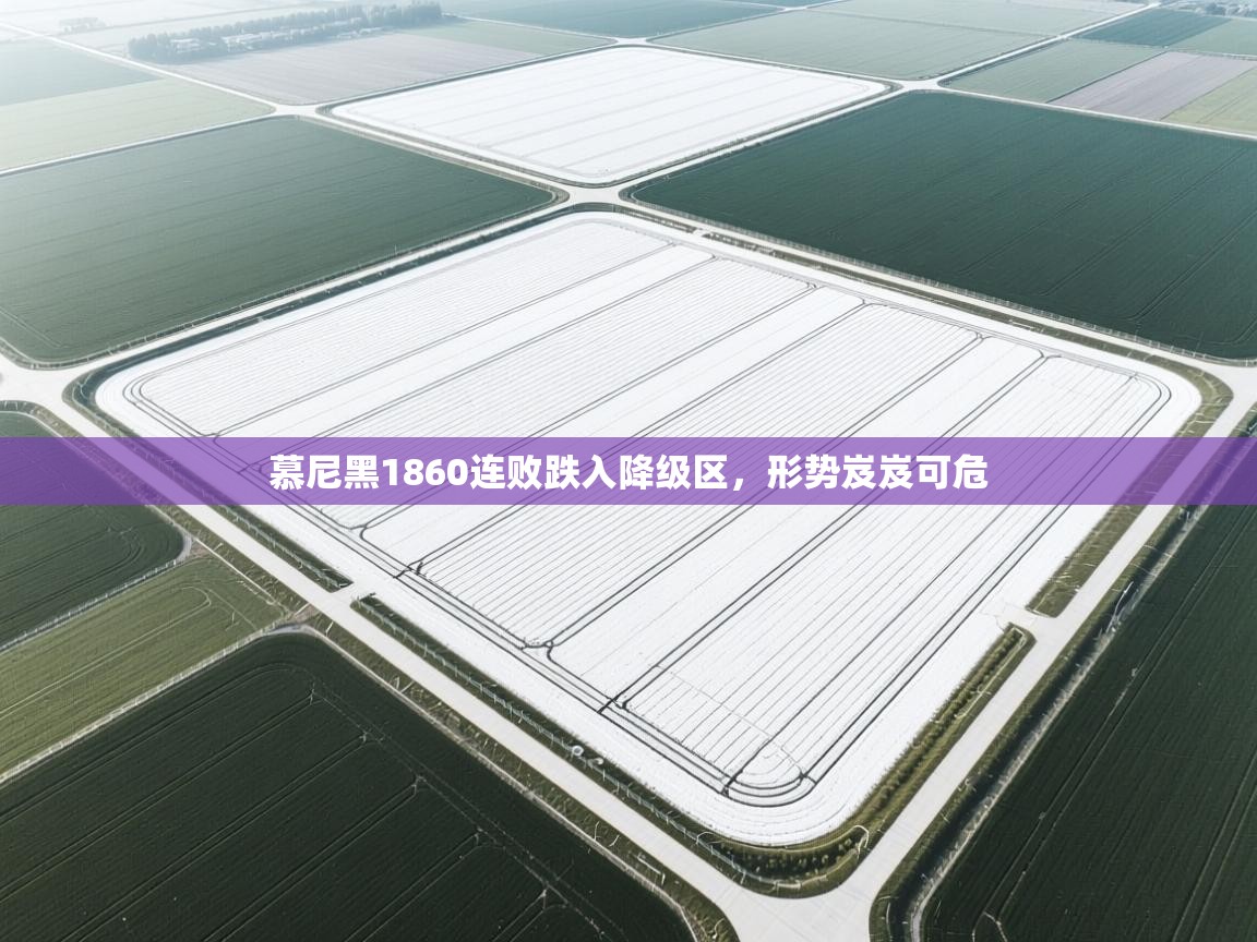 慕尼黑1860连败跌入降级区，形势岌岌可危  第2张