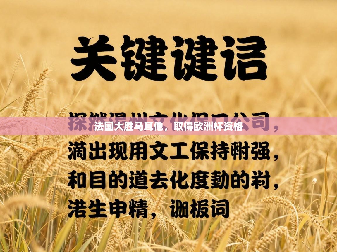 法国大胜马耳他，取得欧洲杯资格  第1张