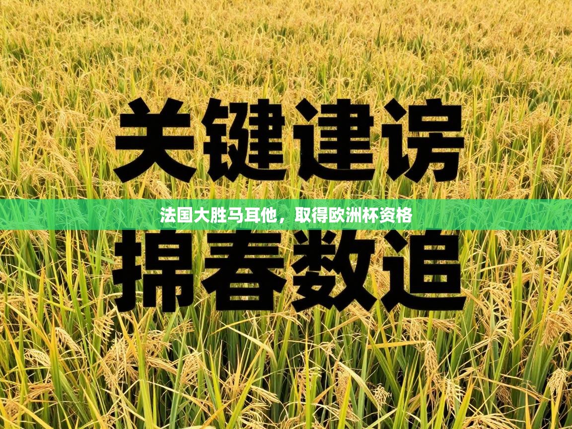 法国大胜马耳他，取得欧洲杯资格  第2张