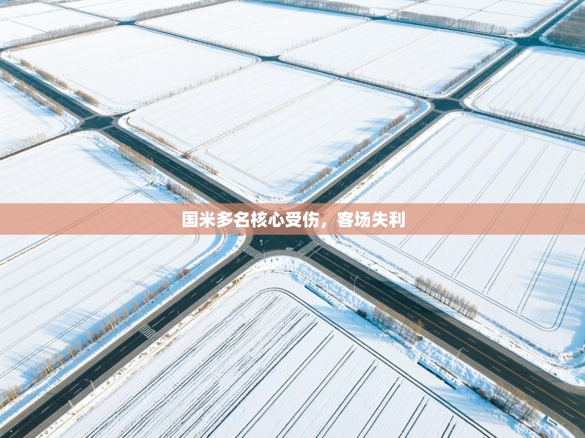 国米多名核心受伤，客场失利  第1张