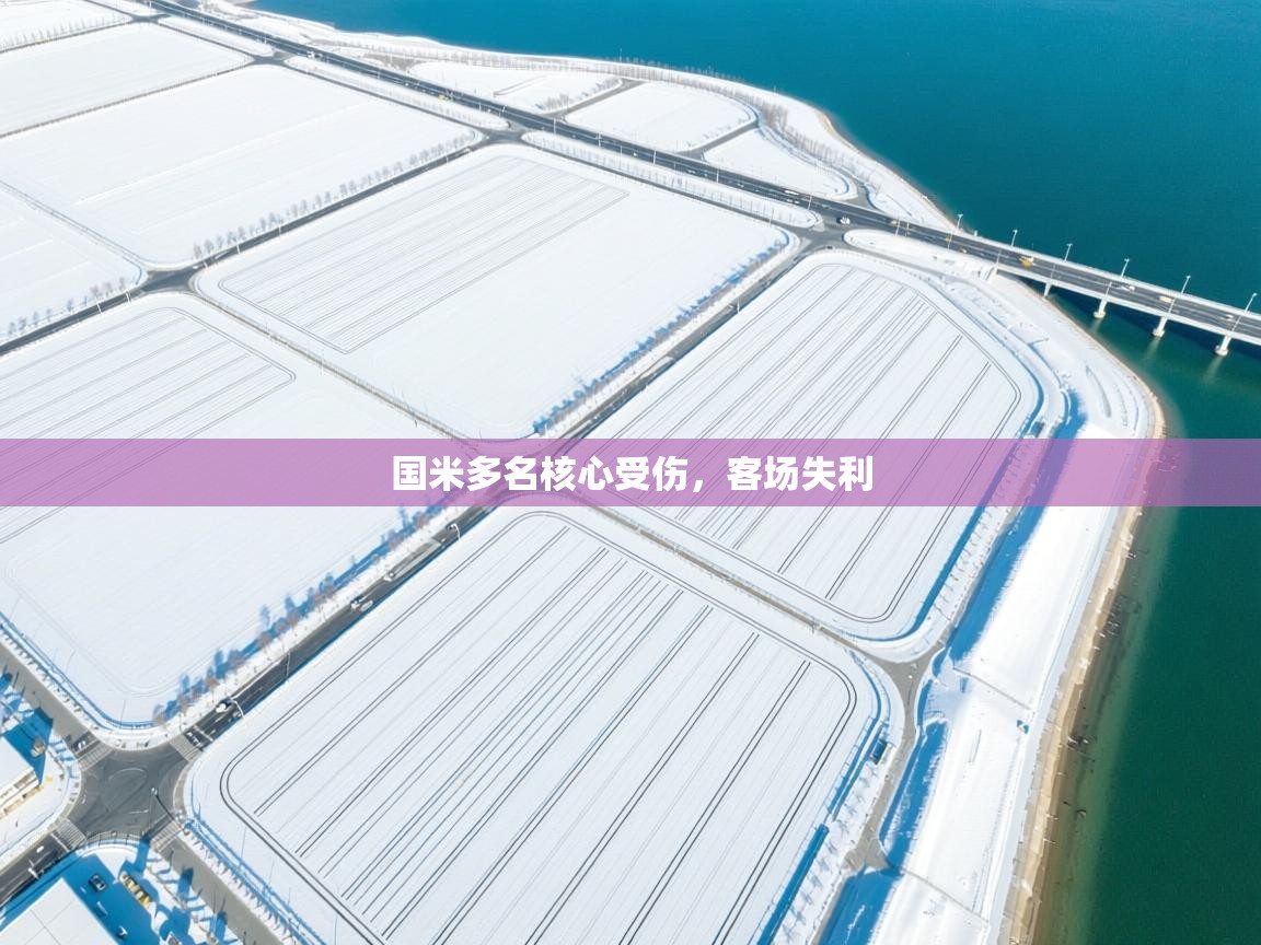 国米多名核心受伤，客场失利  第2张