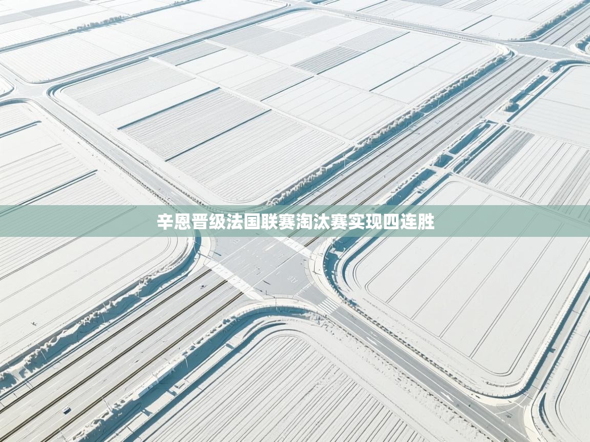 辛恩晋级法国联赛淘汰赛实现四连胜  第1张