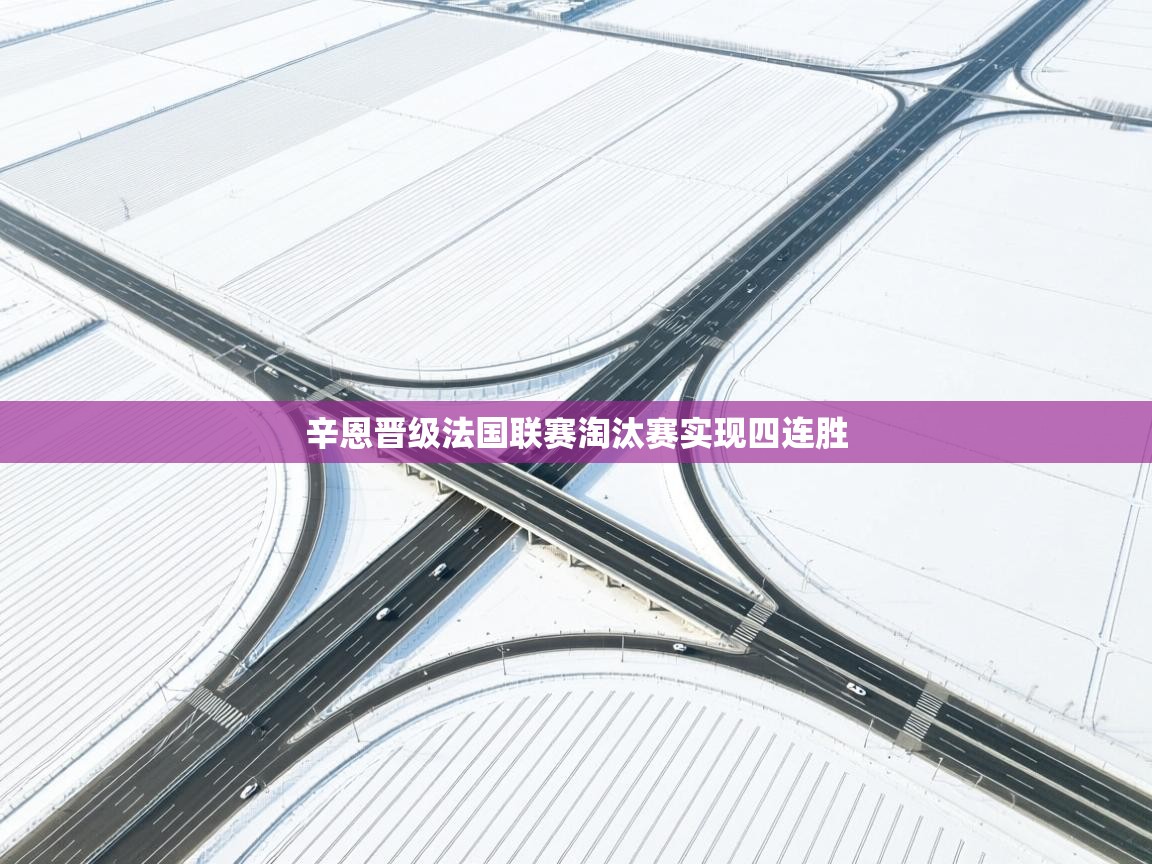 辛恩晋级法国联赛淘汰赛实现四连胜  第2张