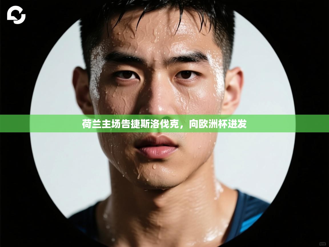 荷兰主场告捷斯洛伐克，向欧洲杯进发  第1张