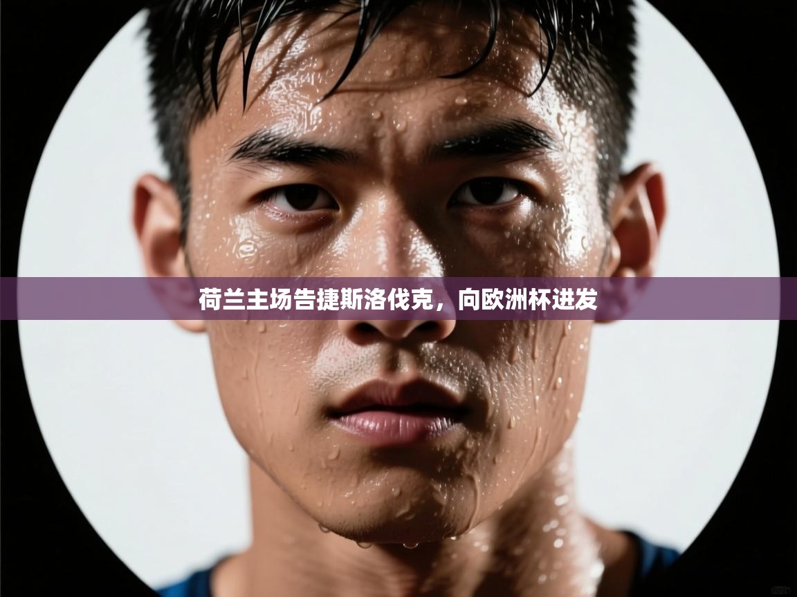 荷兰主场告捷斯洛伐克，向欧洲杯进发  第2张